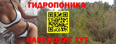 эйфоретик Волгодонск