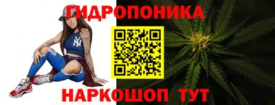 прущие грибы Волжск